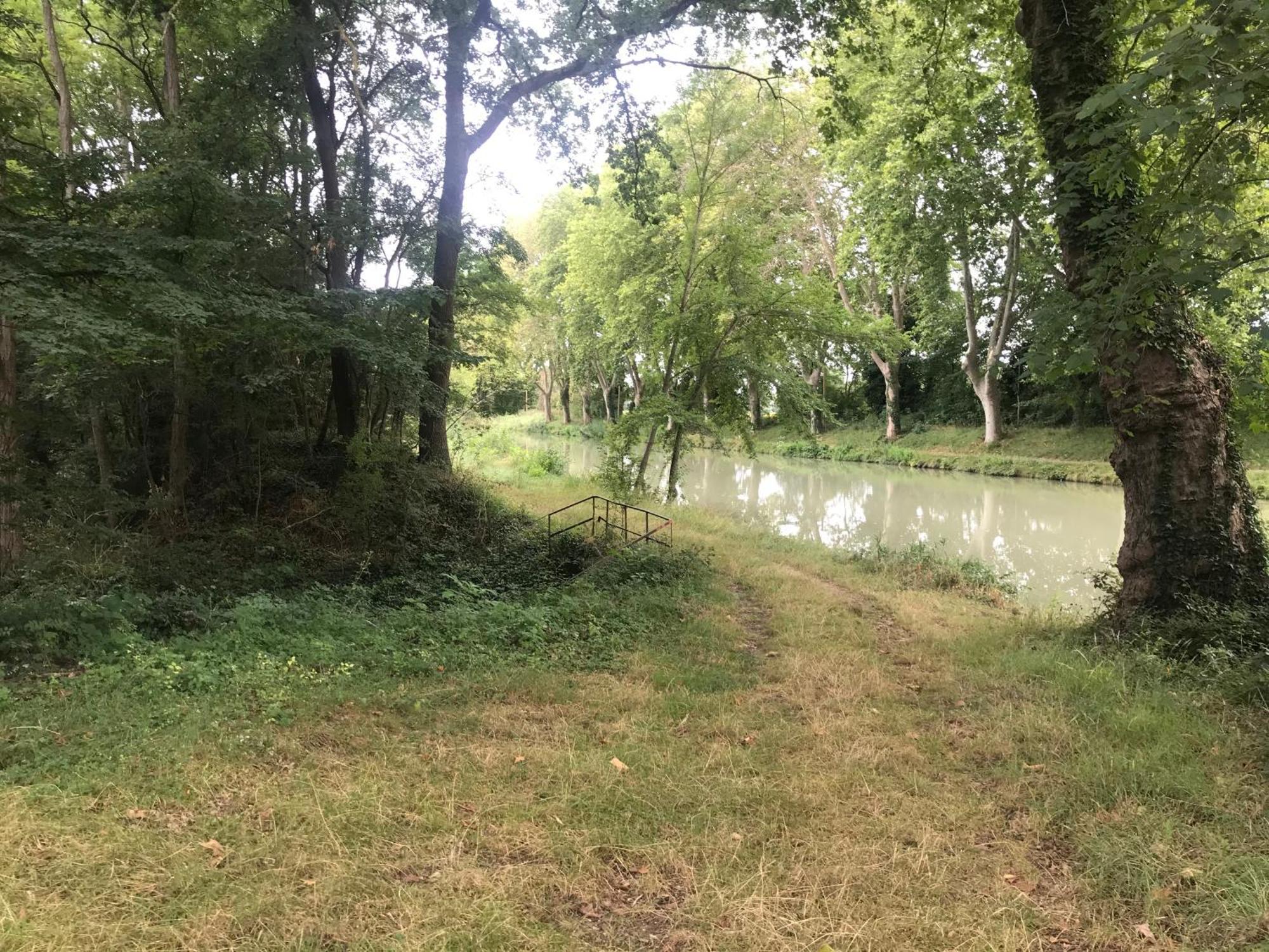 Bus Atypique Au Bord Du Canal Du Midi Et Au Coeur D'Une Foret 2 Chambres Villepinte  Buitenkant foto