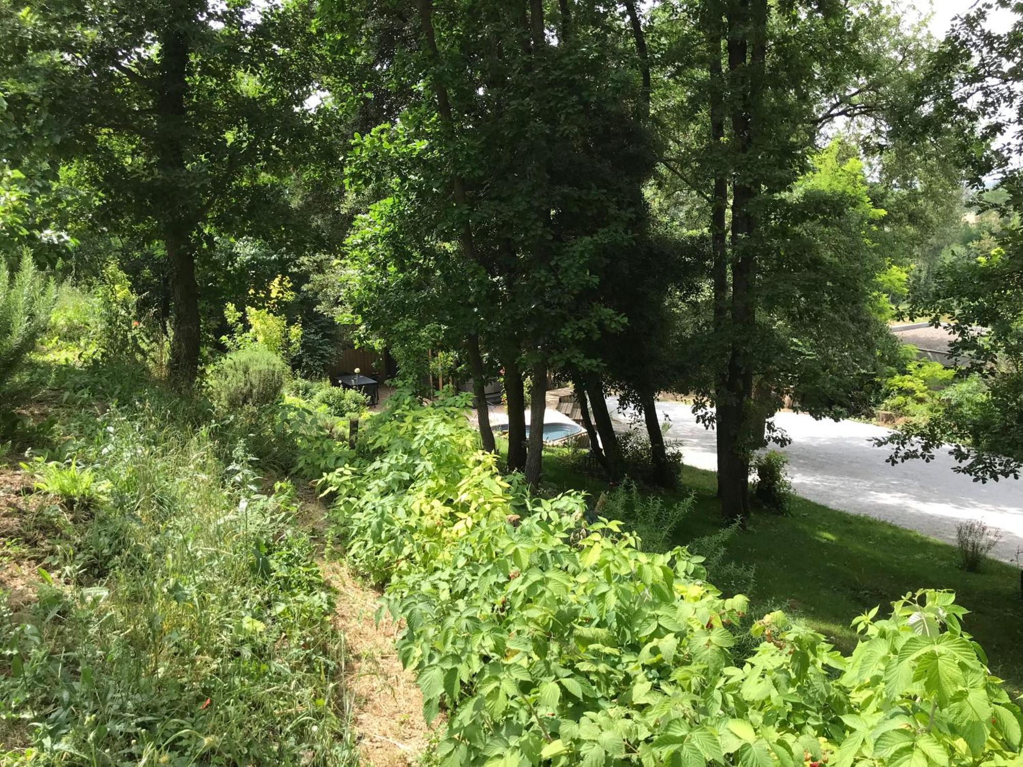 Bus Atypique Au Bord Du Canal Du Midi Et Au Coeur D'Une Foret 2 Chambres Villepinte  Buitenkant foto