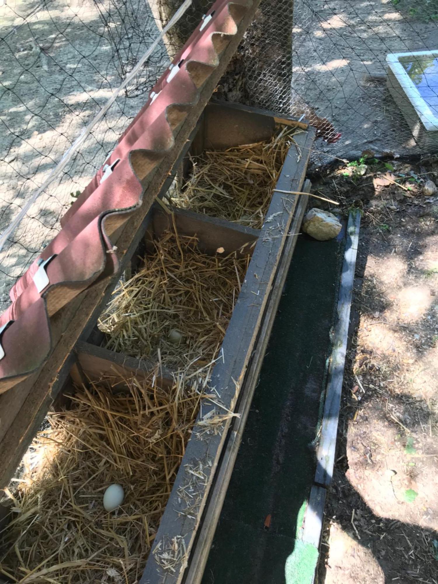 Bus Atypique Au Bord Du Canal Du Midi Et Au Coeur D'Une Foret 2 Chambres Villepinte  Buitenkant foto