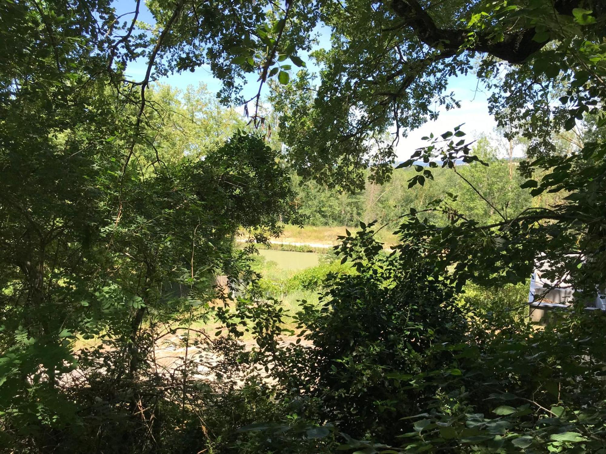 Bus Atypique Au Bord Du Canal Du Midi Et Au Coeur D'Une Foret 2 Chambres Villepinte  Buitenkant foto